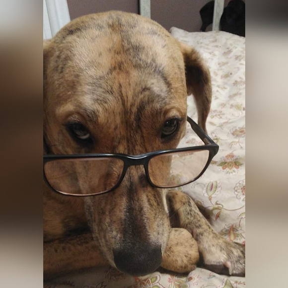 Fun Fashion - Picture 13 of 16